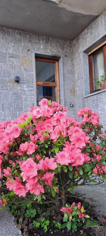 Villa La Serra 巴韦诺 外观 照片