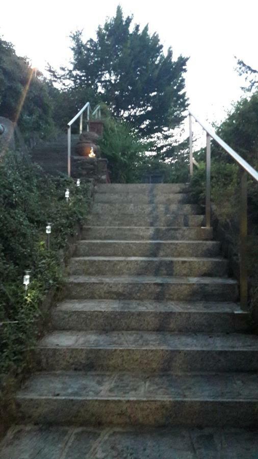 Villa La Serra 巴韦诺 外观 照片